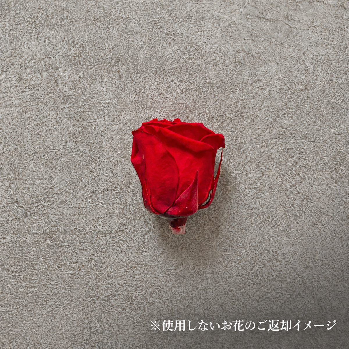 花束をキャンバスに残す レターフラワー（BOUQUET）
