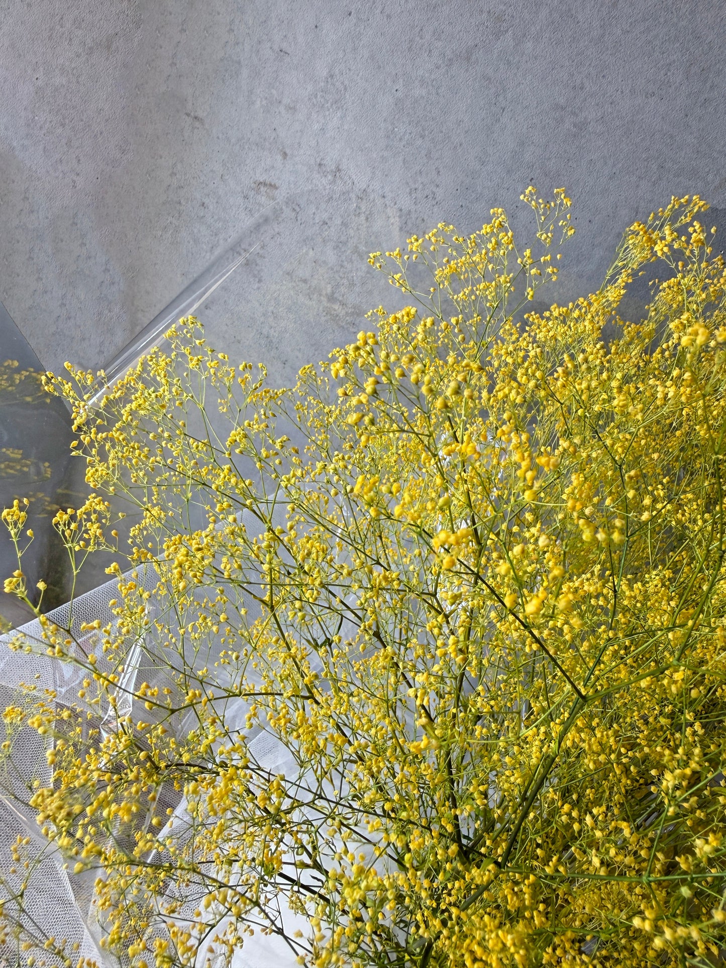 かすみ草のブーケ（プリザーブドフラワー / イエロー）