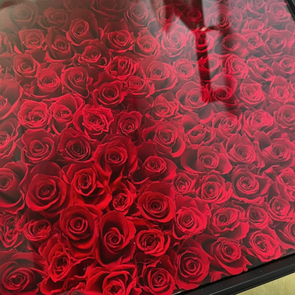 プロポーズ/108本/バラ⑲